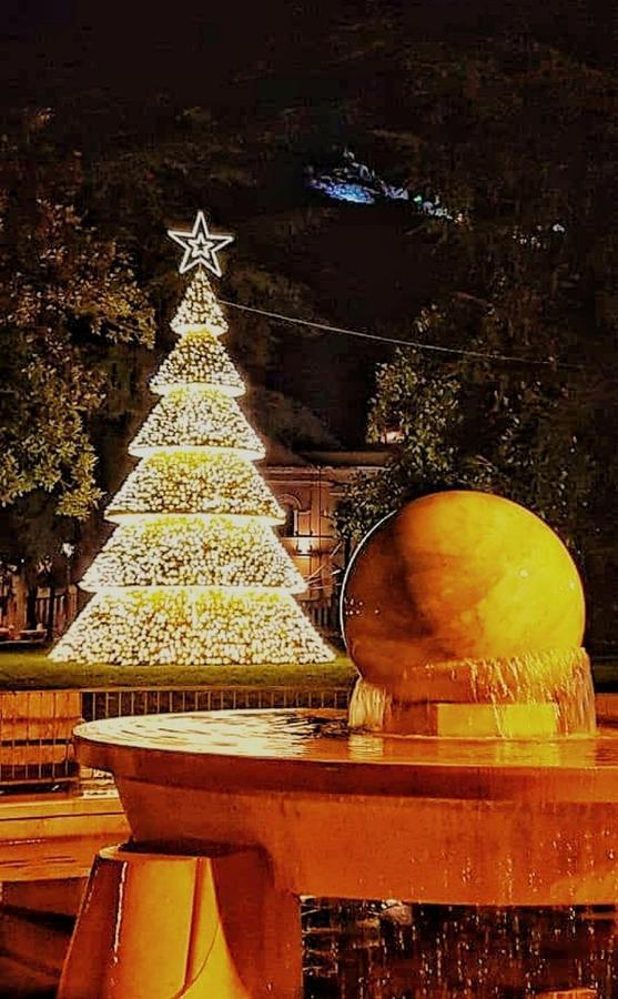 B&B "La Bottega D'Arte" Καρράρα Εξωτερικό φωτογραφία